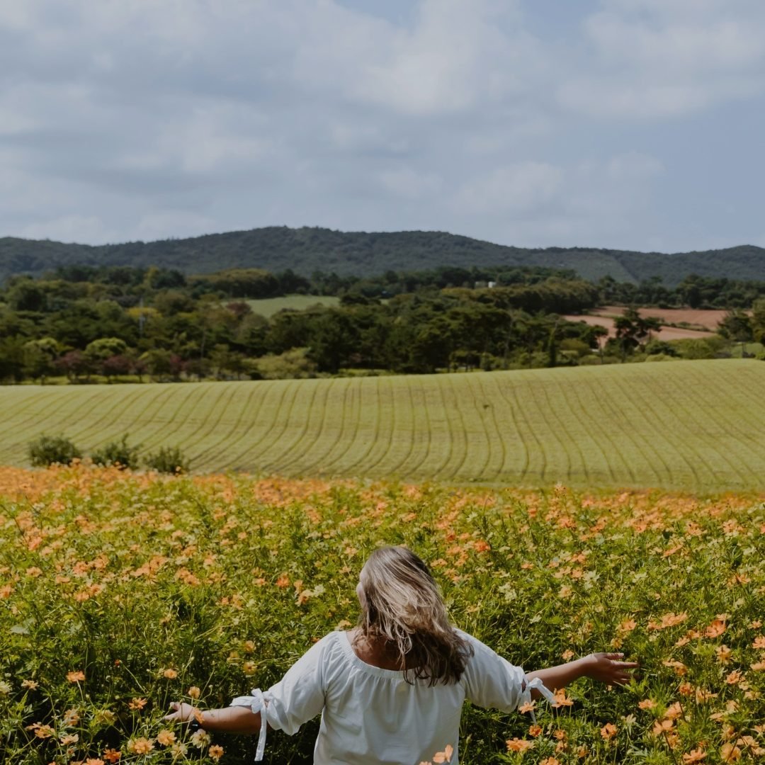 post de instagram travel ship turismo viajar moderno informativo celeste verde - 1